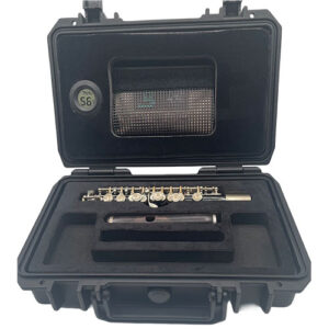 New Piccolo Case photo